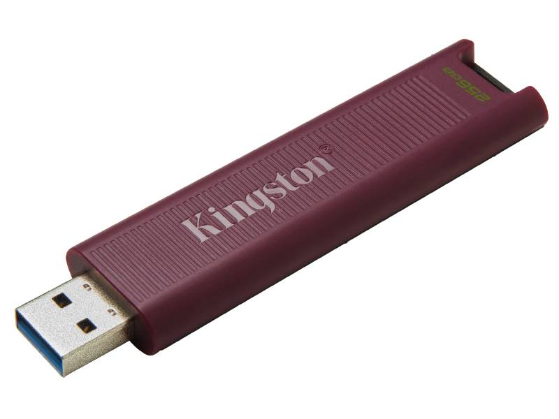 金士頓DataTraveler Max USB 3.2 Gen2隨身碟(Type-A/256G)(DTMAXA/256GB)