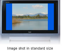 Image shot in standard size