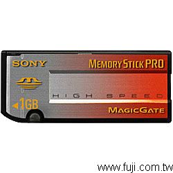 SONYt HS Memory Stick PRO 2GB ™ tOХd(MSX-2GN)(HSMSX-2GN)