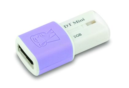 KINGSTONhyDataTraveler Mini - Migo Edition 2GBgAH(DTM/2GB)