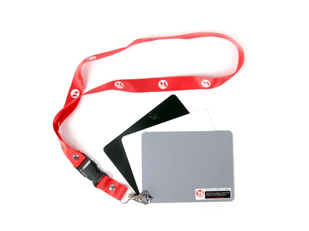 BWG02 �s���GA11874