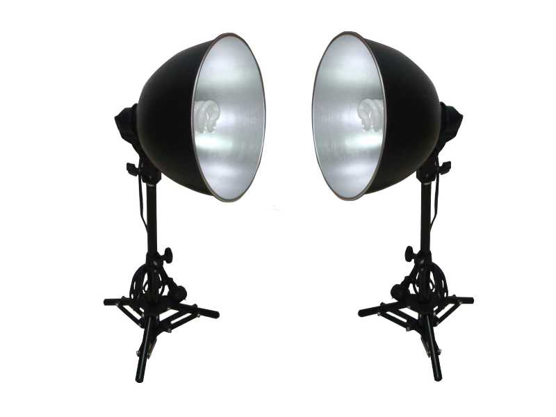 10吋螺旋冷光攝影棚燈套組(含燈、 腳架，兩只裝)(VL1065L)