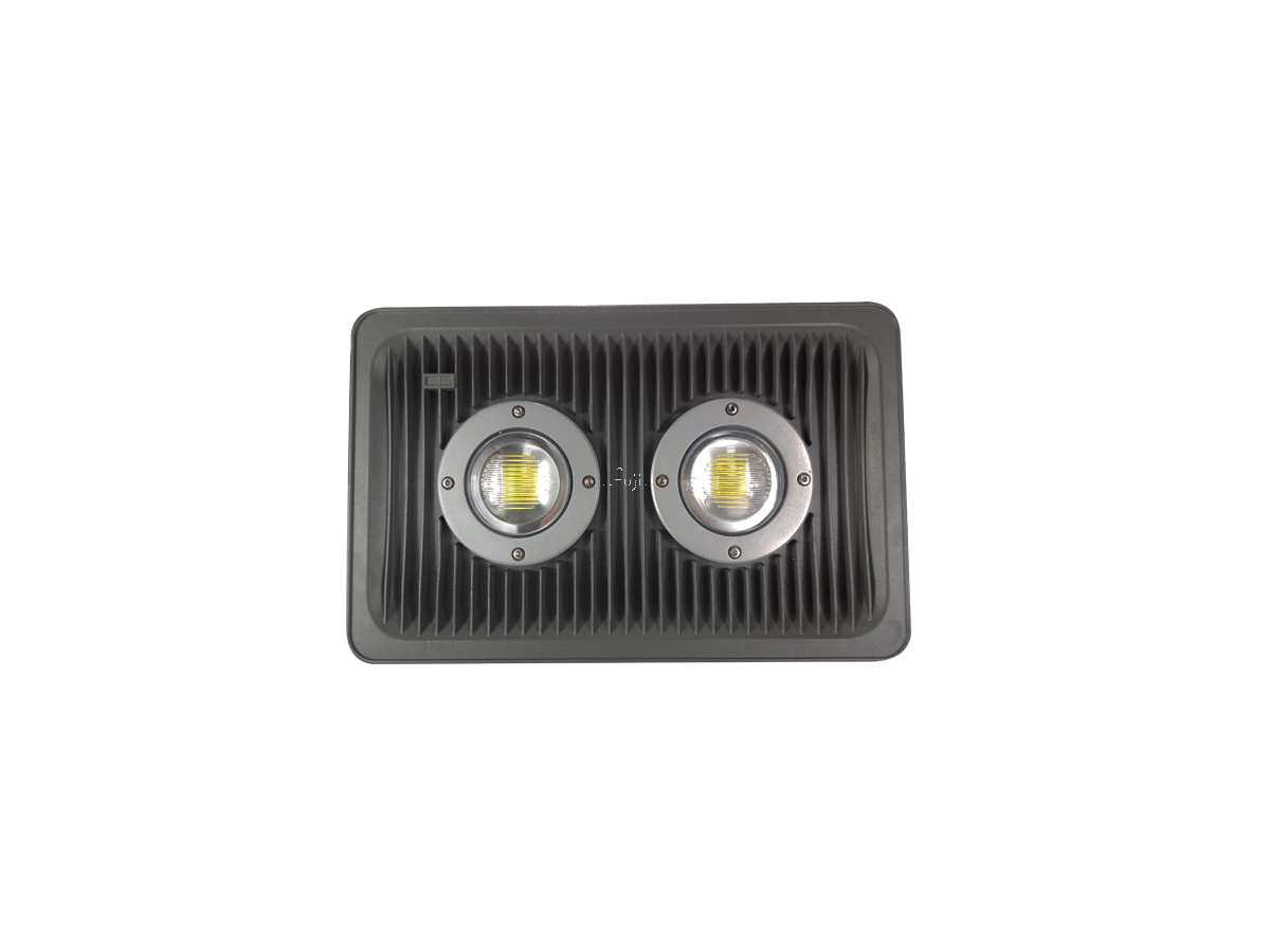 L100WSPL �s���GA14989