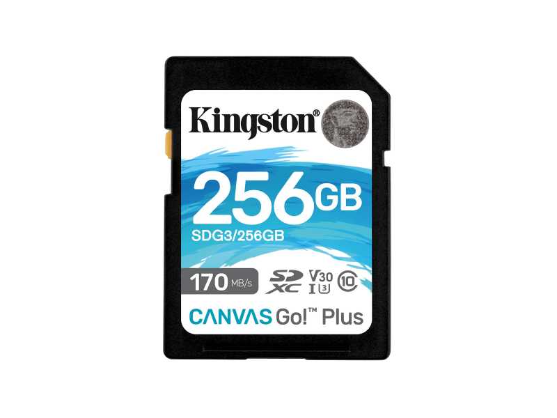 KINGSTON金士頓256GB Canvas Go!Plus SDXC高速記憶卡(SDG3/256GB)