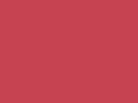 仙麗Superior Seamless 2.72M X 11M 專業背景紙(#56深紅色)