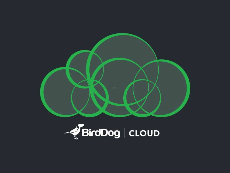 BirdDog Cloud鳥狗雲軟體年度Licence  / 兩使用者(BDCLOUD12M)