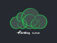 BirdDog Cloud鳥狗雲軟體一年附加訂閱 / 兩使用者