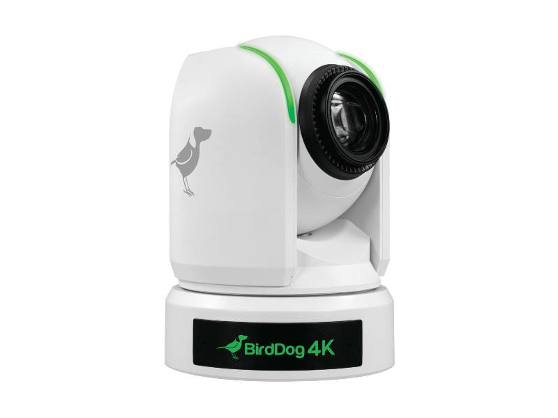 BirdDogEyes P4Ke12x  NDI PTZv(զ)(Eyes P4K WHITE)