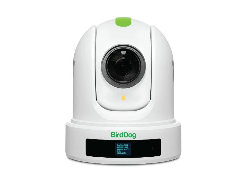 BirdDogP110 10x NDI PTZv(զ)(P110)