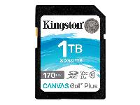 KINGSTONhy1TB Canvas Go!Plus SDXCtOХd(SDG3/1TB)