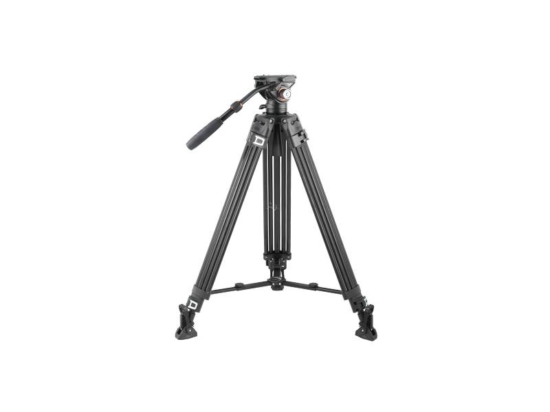 Cayer�d�bBF50LH-A�T�X��双�޸}�[(75�J)(BF50LH-A)