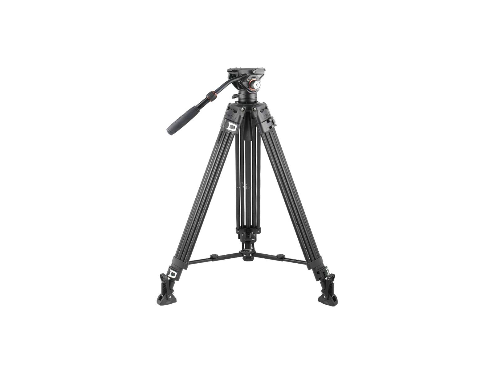 BF50LH-A �s���GA17804