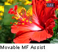 Movable MF Assist