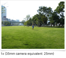 1x (35mm camera equivalent: 25mm)