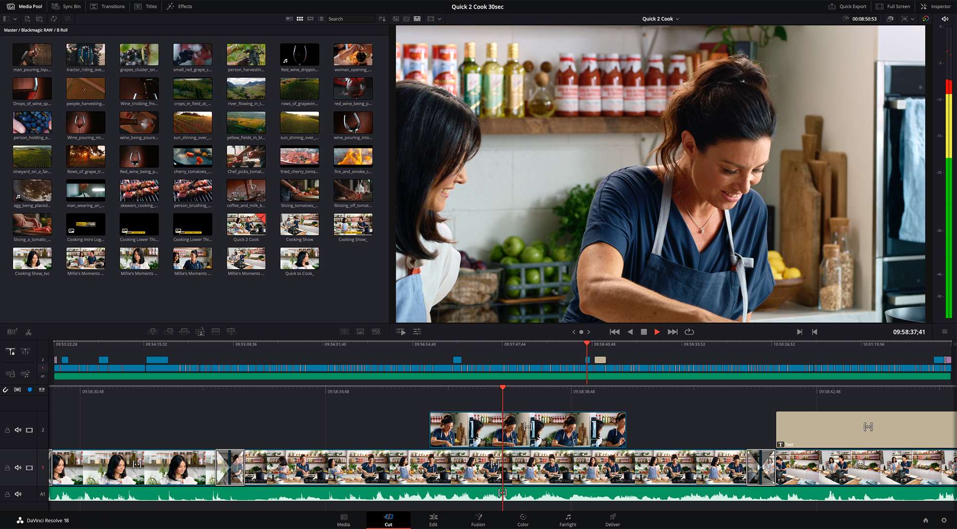 davinci resolve add watermark