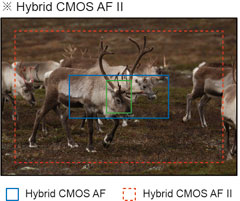 Hybrid CMOS AF 
