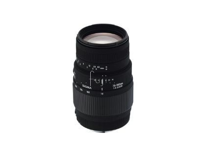 SIGMA�A��70-300mm F4-5.6 DG MACRO���Y(FOR NIKON CANON)(70-300mm F4-5.6 DG MACRO  )