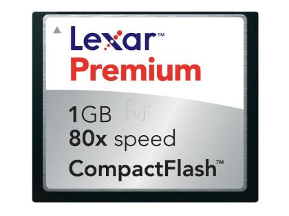 LEXARpJPlatinum IIժGN 1GB CompactFlashOХd(Platinum_CF_1GB_80X)