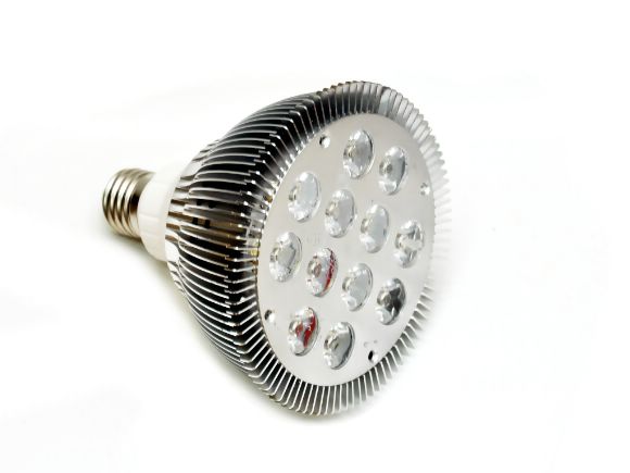 12W白光High-power  LED PAR38 DC直流燈(8-30v)(L-PAR38DC-12WW)