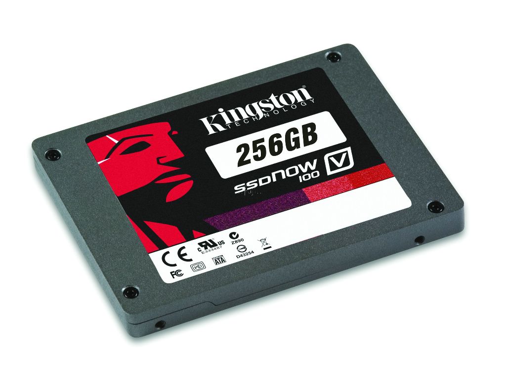 SV100S2/256GB �s���GA8485