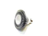LINGO���\�v15W PAR30 High-power LED�O��(�ե�)