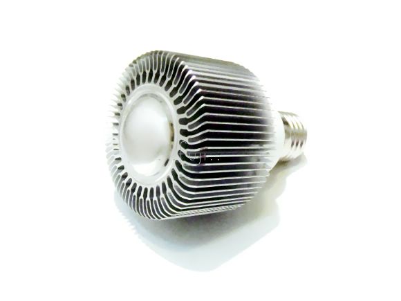 LINGO���\�v10W PAR30 High-power LED�O��(�ե�)(YL10WPAR3060)