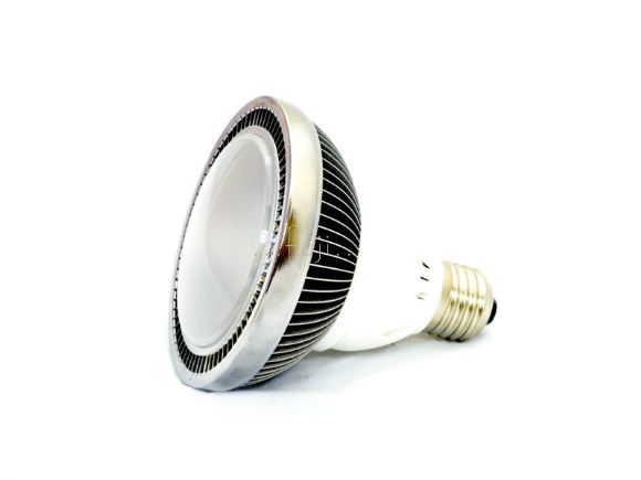 1200 流明高亮度暖白光LED DC直流燈(8-30v)(L-PAR30DC-12WW)