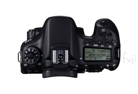 數位蘋果網CANON佳能EOS-70D專業數位相機(不含鏡頭) (訂購編號：P907)