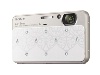 SONY-DSC-T110D數位相機詳細資料